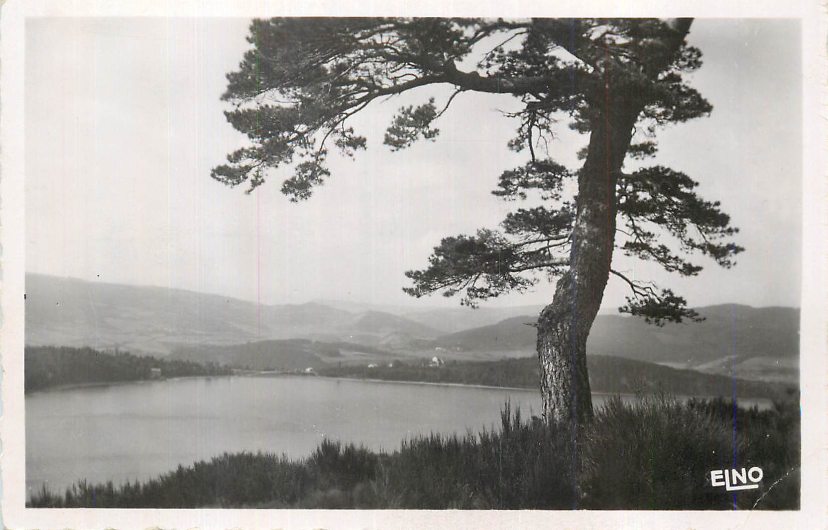 Arbre solitaire au bord d'un lac — montagnes en arrière-plan — EINO
