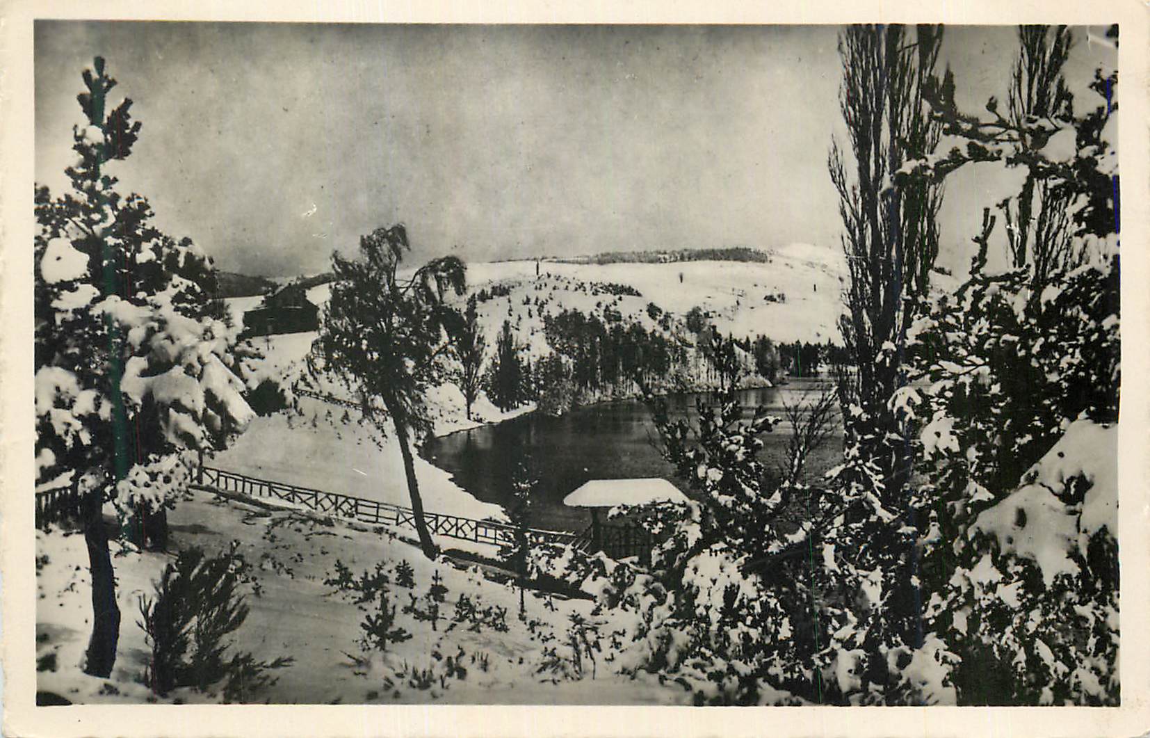 CPM Lac d Issarles Ardeche Un coin du lac sous la neige 