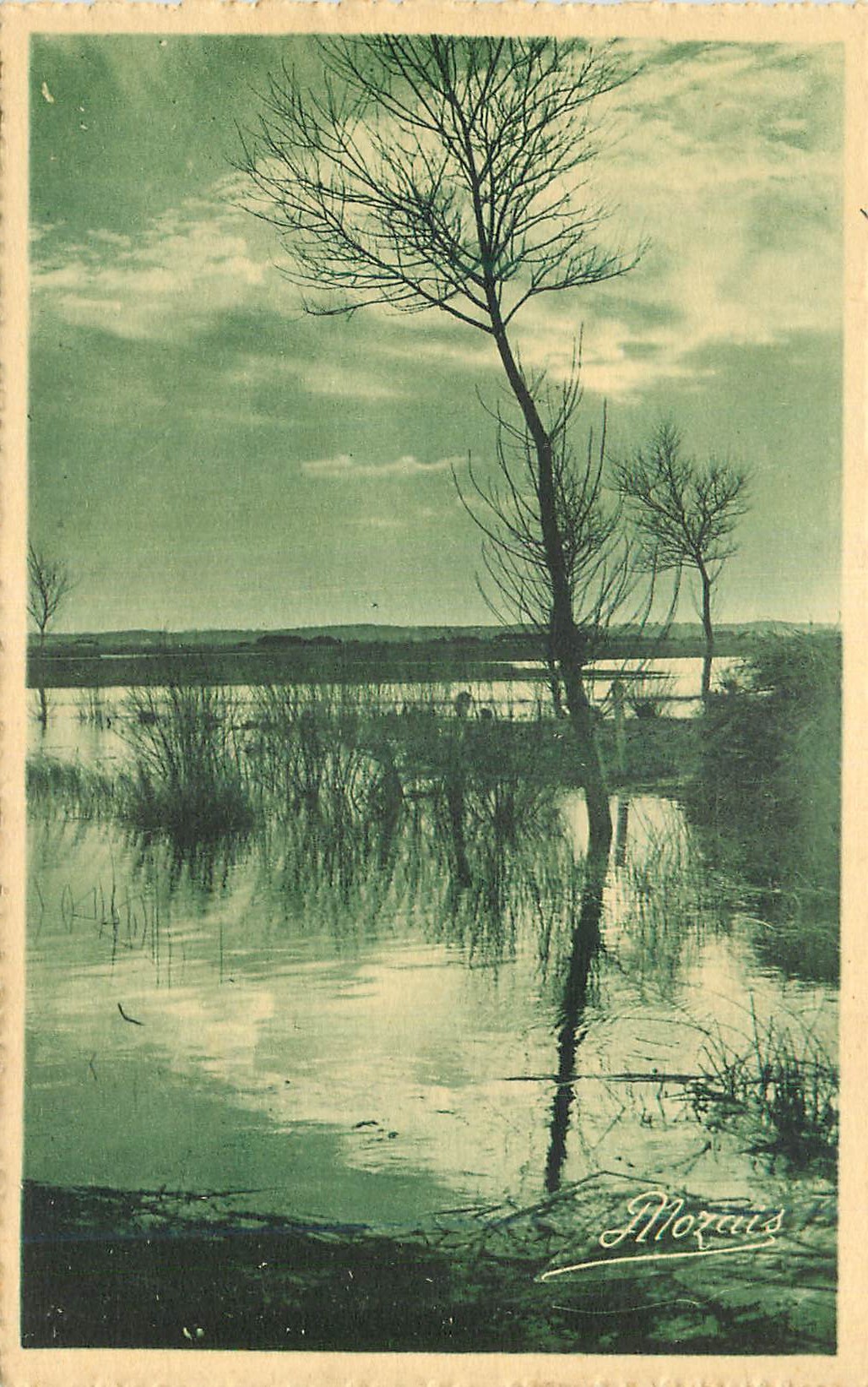 CPA Les Plus Beaux Paysages de la Vendee Maraichine Melancolie du soir 