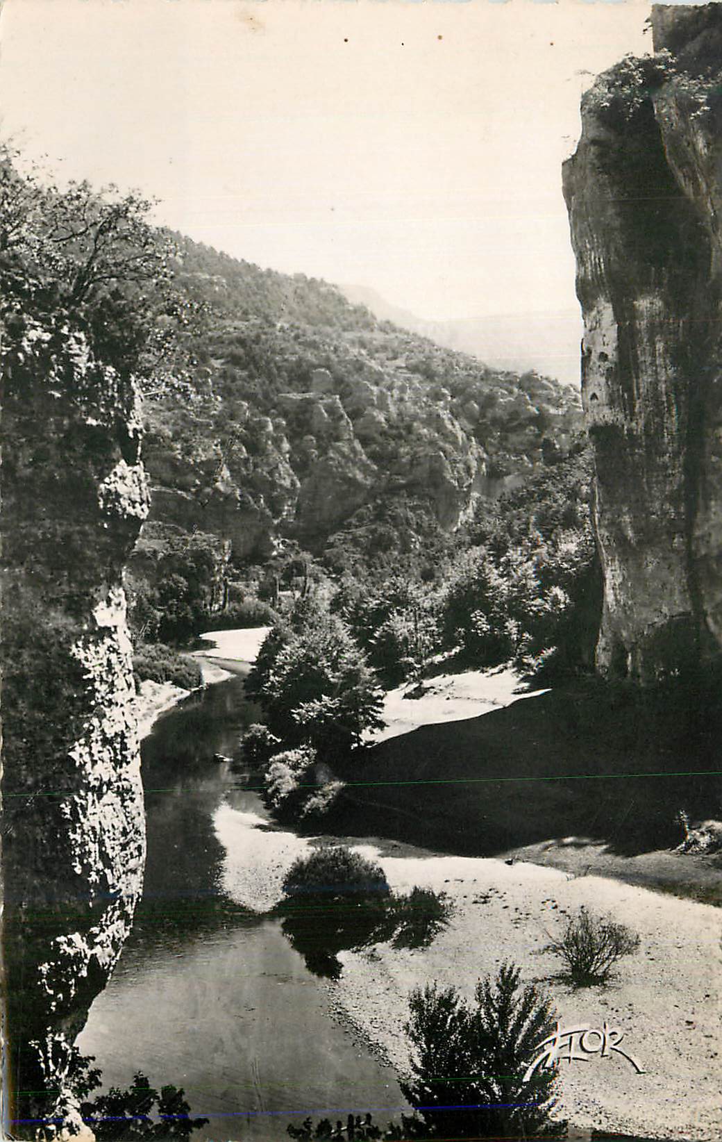 CPM Les Gorges du tarn Le Tarn vers les Baumes 