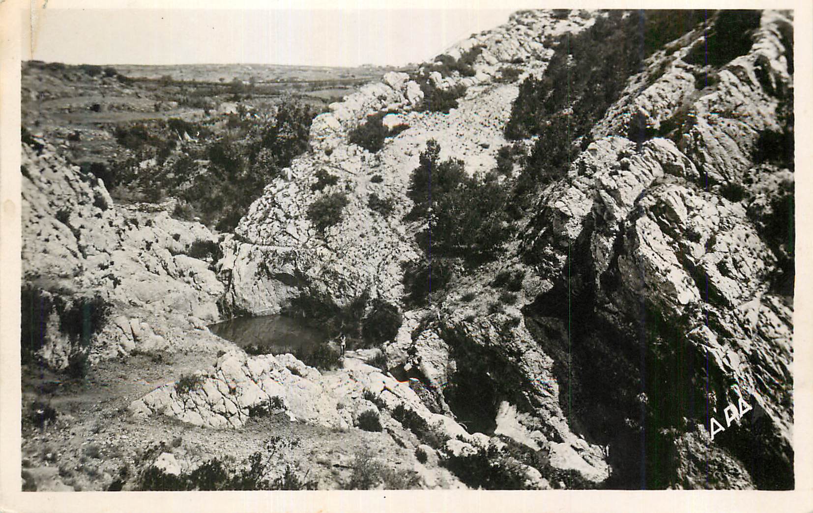 CPM Puisserguier Herault Les Gorges de Fichous 