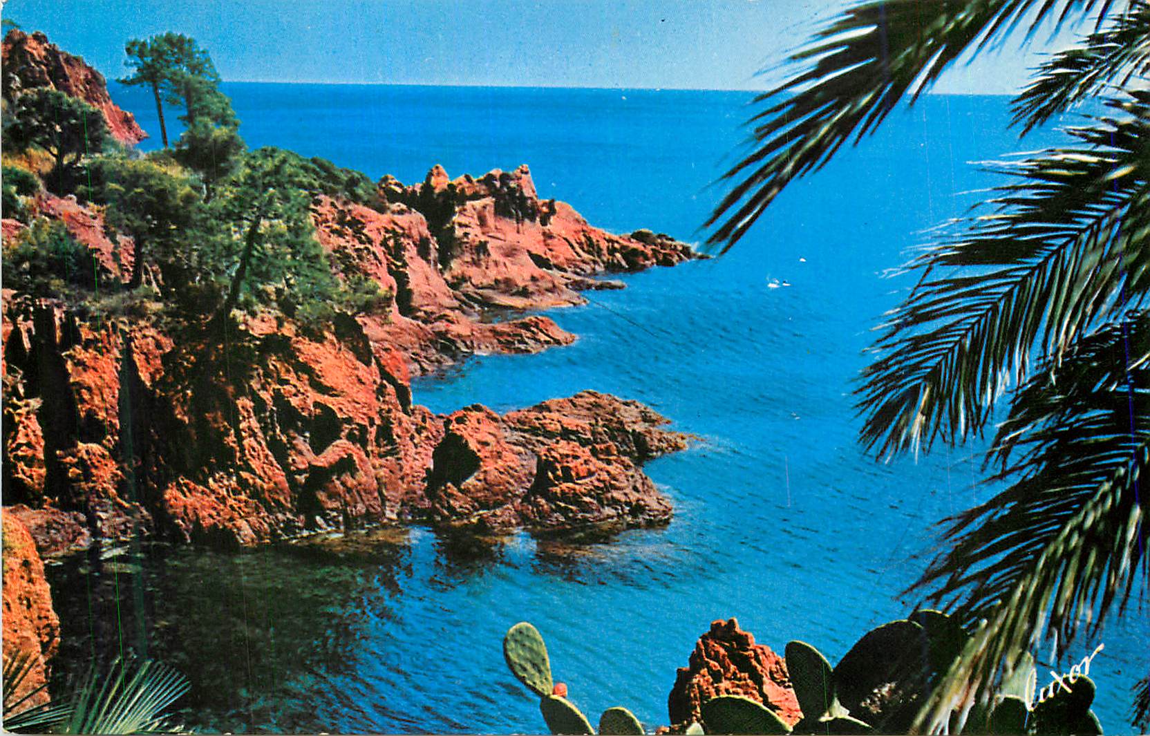 CPM La Cote d Azur et ses Merveilleux Paysages Les roches rouges en Mediterranne et les plantes exotiques 