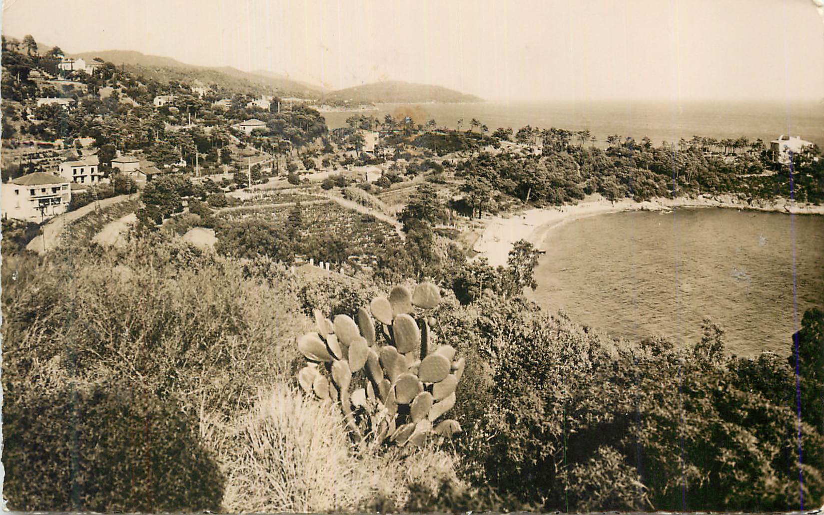 CPM Le Lavandou Var La Fossette 