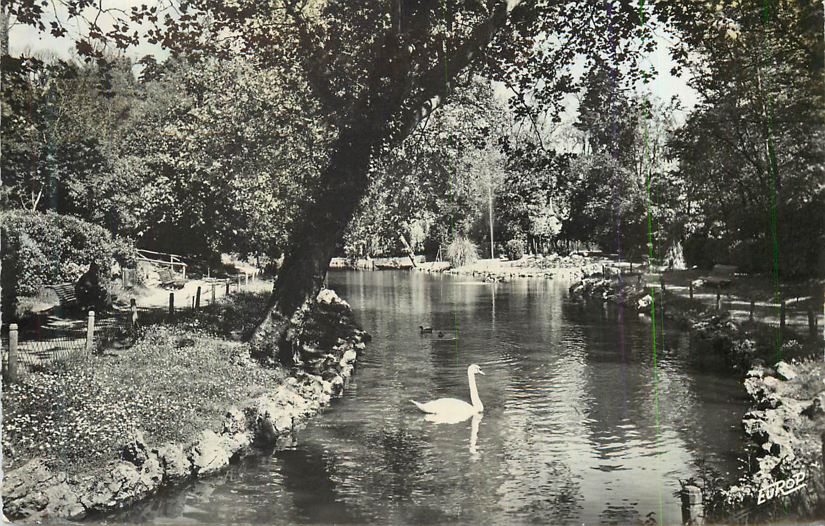 CPM La Rochelle Ch Mme Le Mail L Etang des Cygnes 