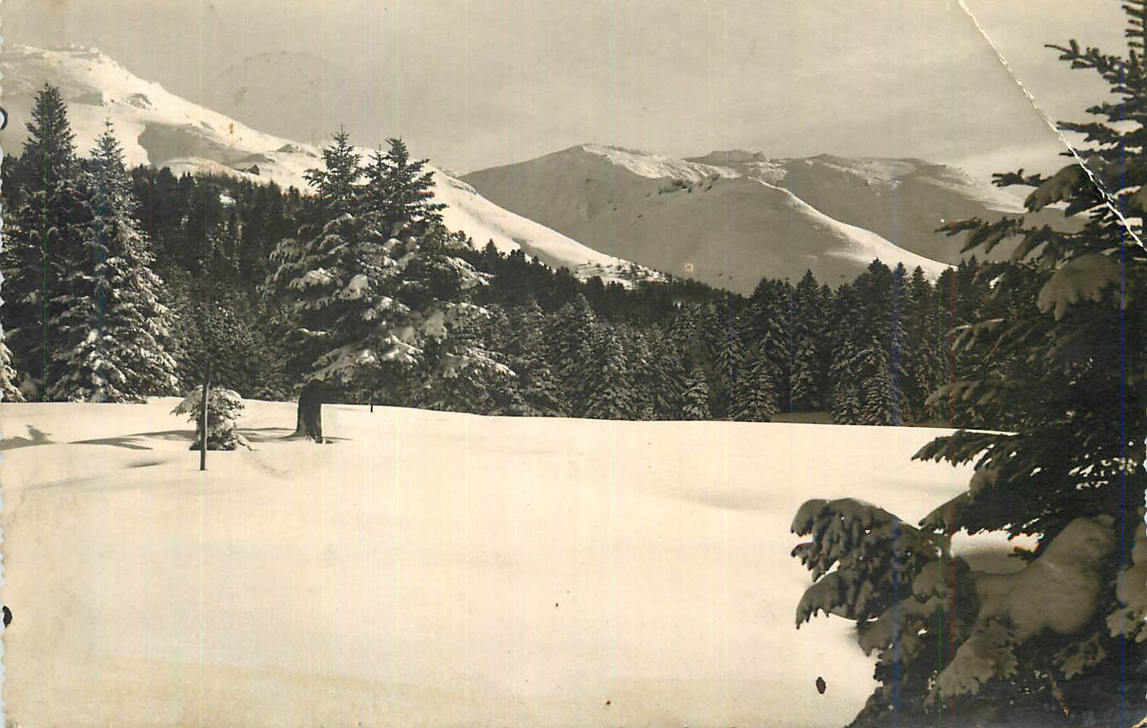 CPM Le Lioran La prairie des Saignes et le massif du Plomb du Cantal 