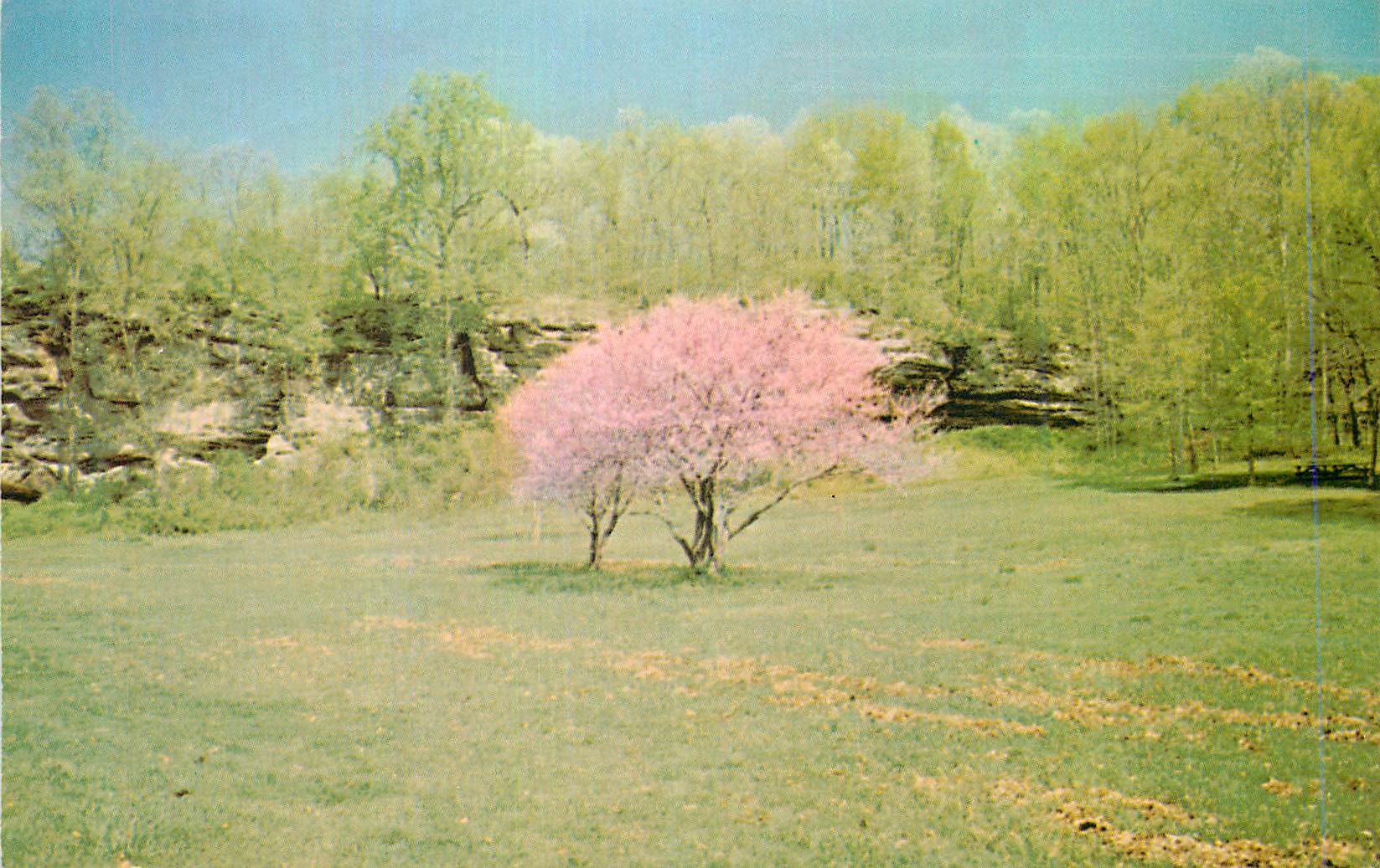 CPM Giant City State Park Indiana Southern Illinois 