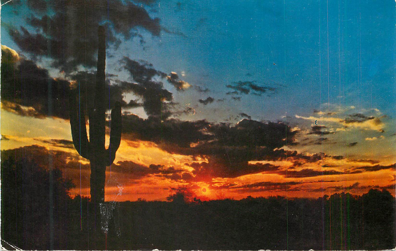 CPM The setting sun silhouettes a sentinel like Saguaro cactus against the western sky 