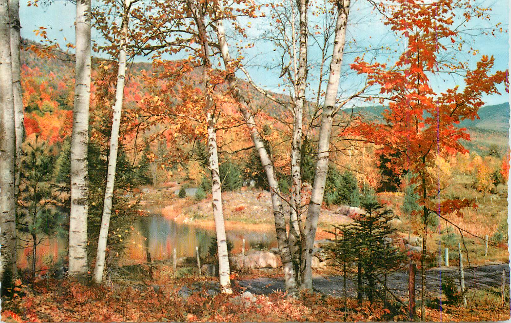 CPM Foret 