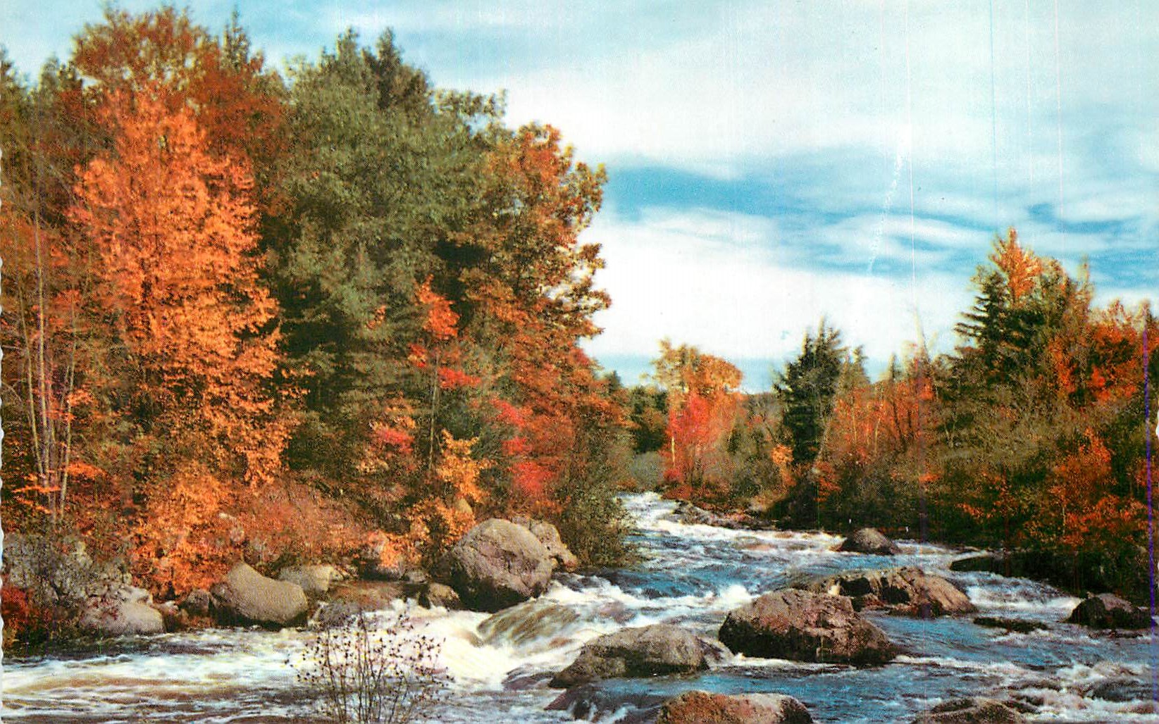 CPM Foret 