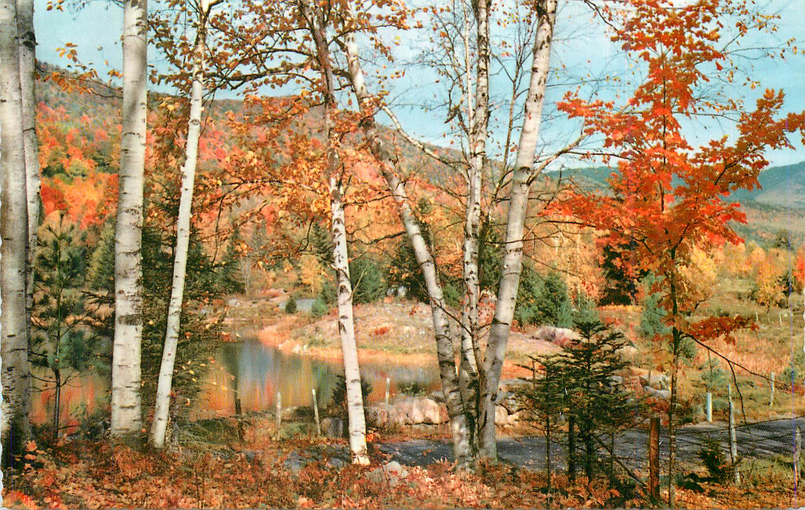 CPM Foret 