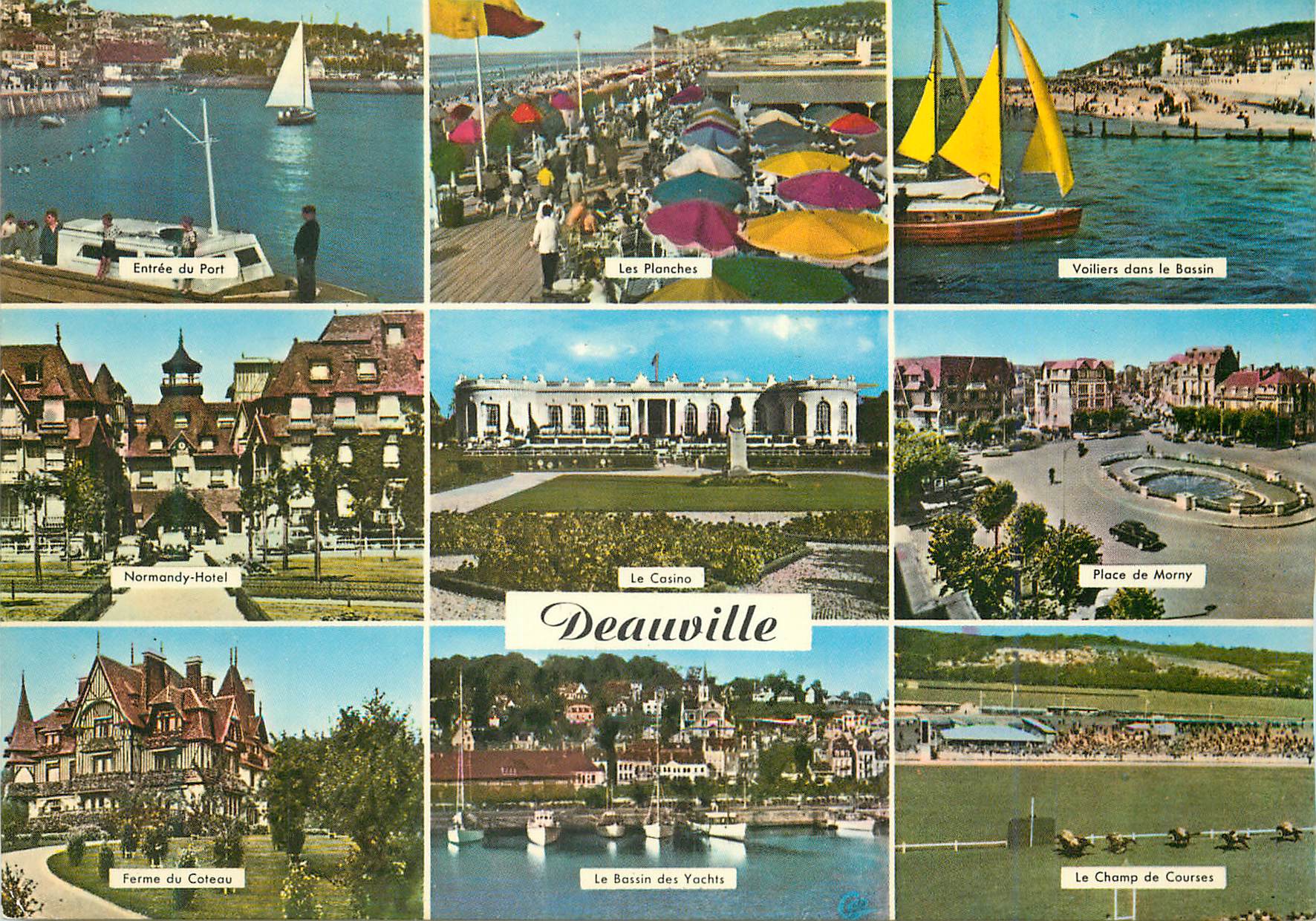 CPM Deauville plage fleurie (14) Le champ de courses
