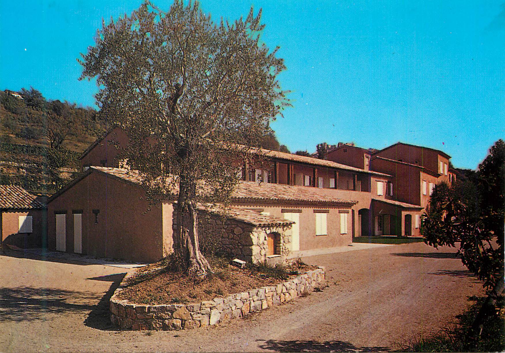 Village provençal — maison traditionnelle avec olivier — éditeur non visible