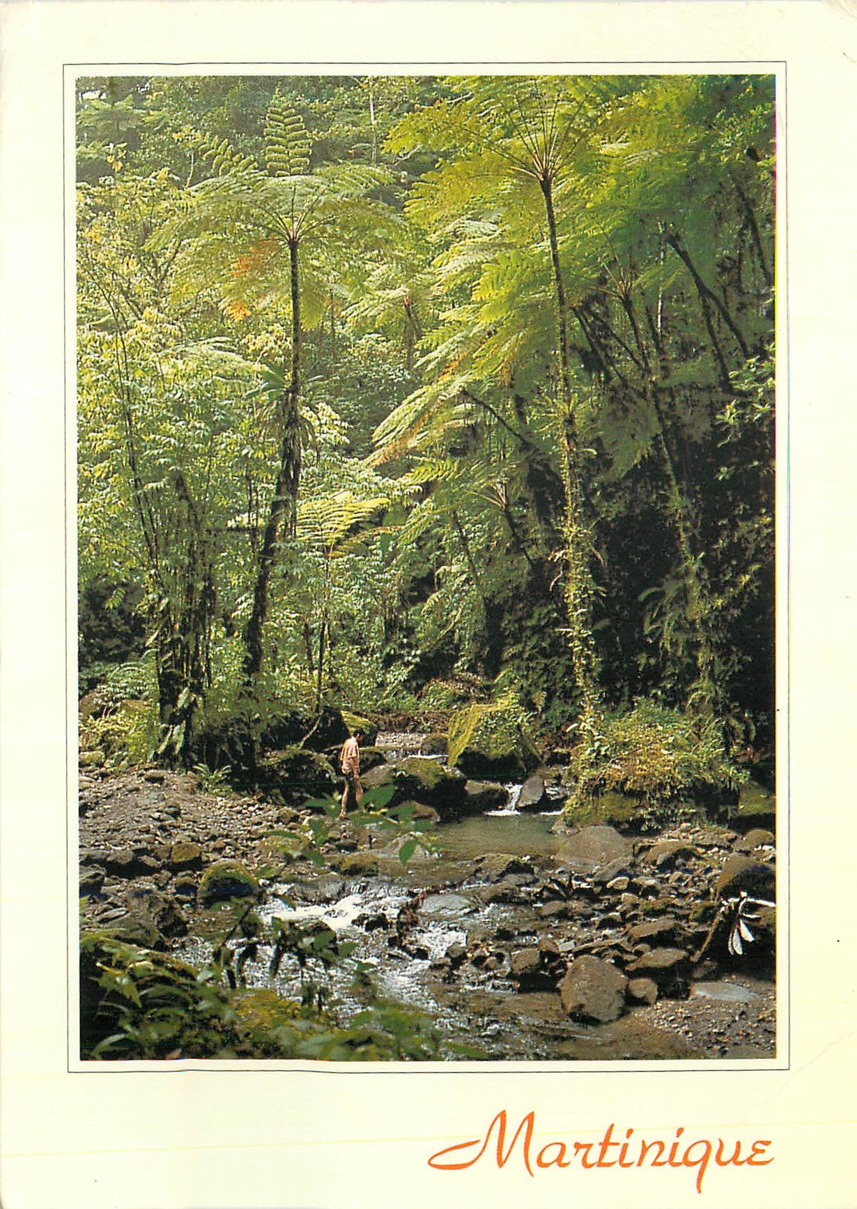 CPM La martinique ajoupa bouillon les gorges de la falaise