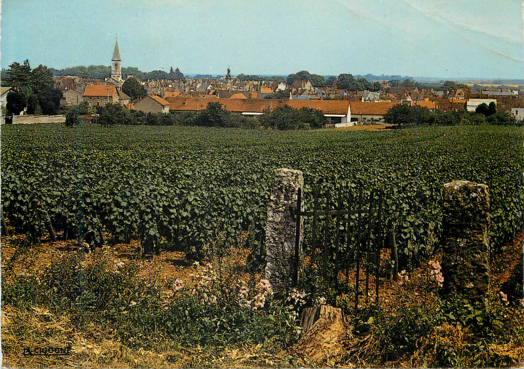 CPM Nuits saint georges vue generale au premier plan les cele bres vignobles