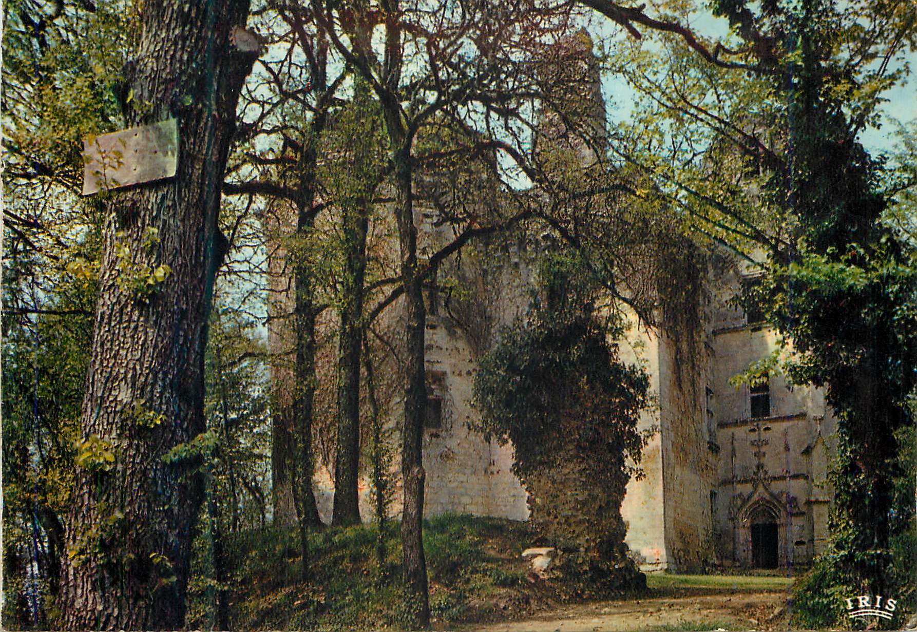 Château de la Motte — ruines entourées de forêt — éditeur IRIS