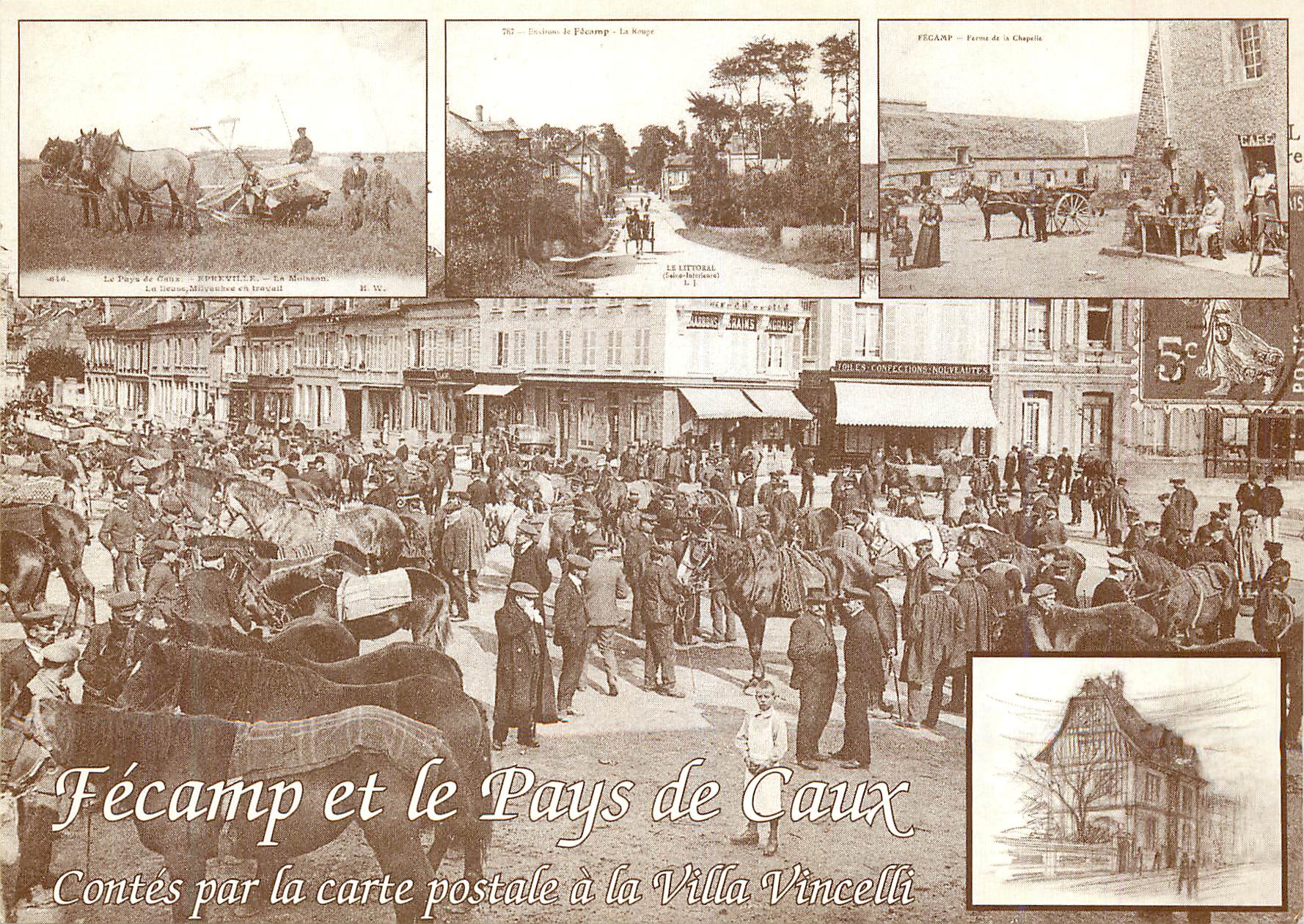 CPM Fecamp et le pays des caux Chevaux