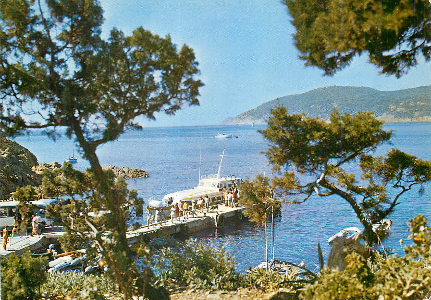 Port de plaisance — vue depuis les pins — éditeur non visible