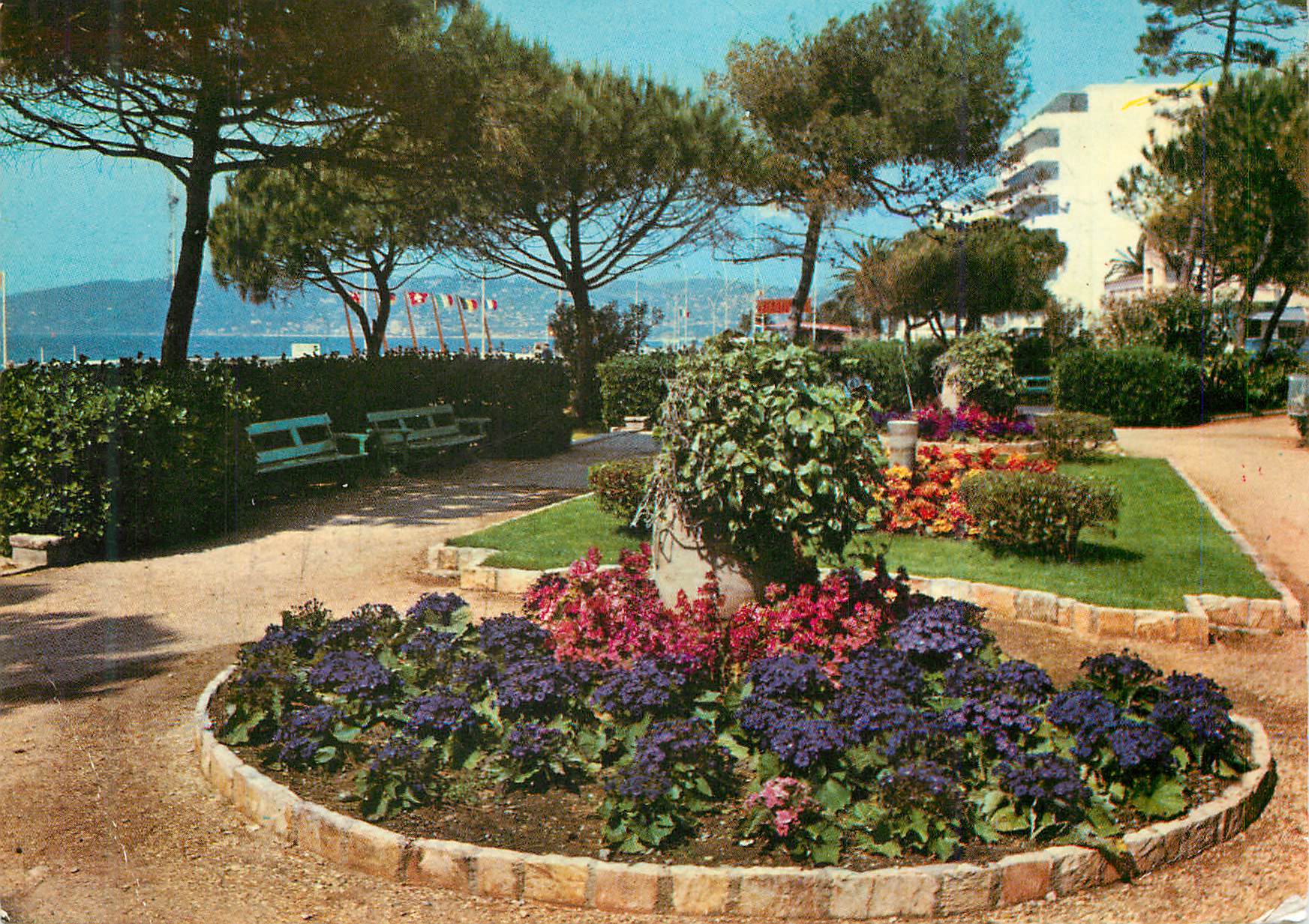 CPM Juan les pins et ses jardins fleuris cote d azur