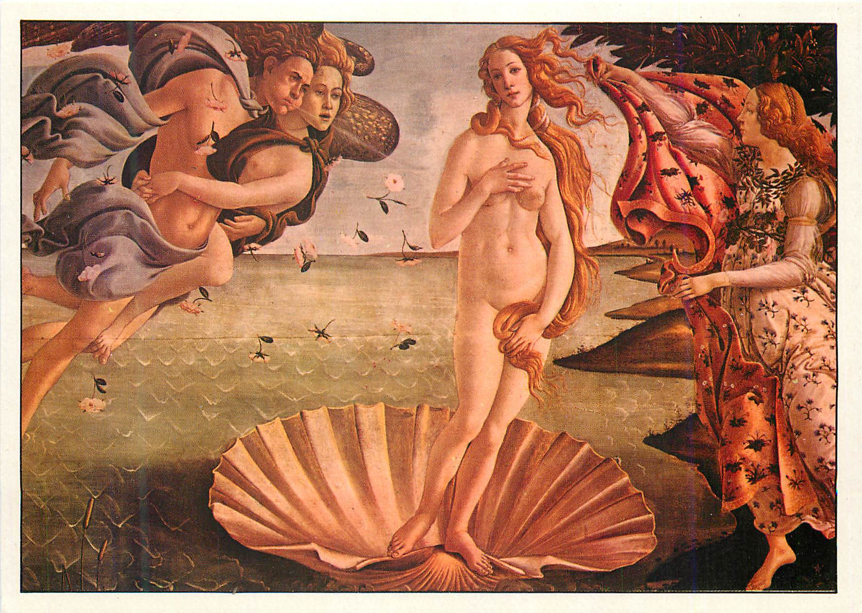 CPM La naissance de venus Botticelli