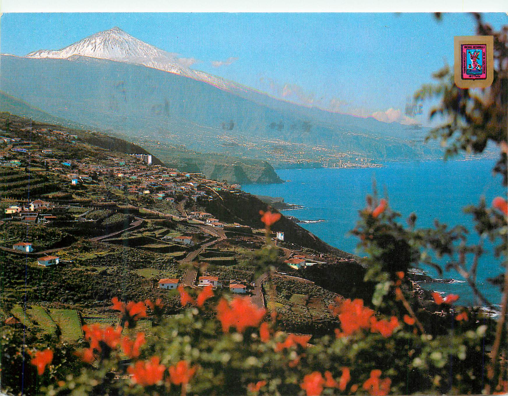 CPM Tenerife vue du teide depuis la cote nord