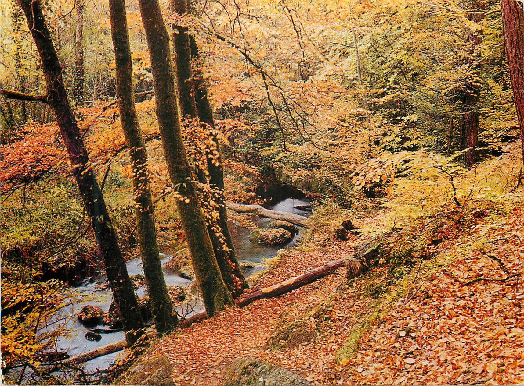 CPM Huelgoat la riviere d argent a l automne