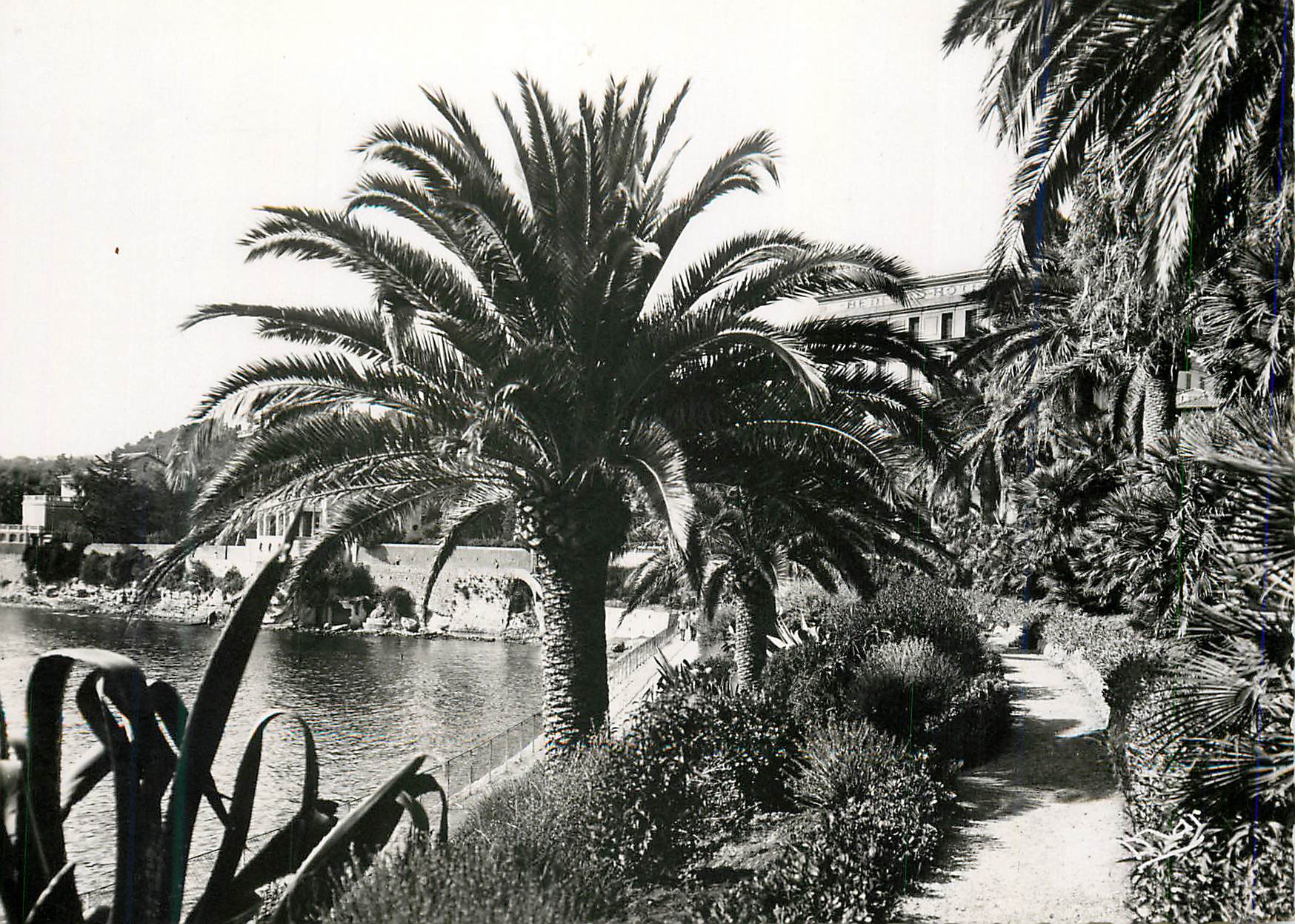 CPM Beaulieu sur mer jardin des fourmis