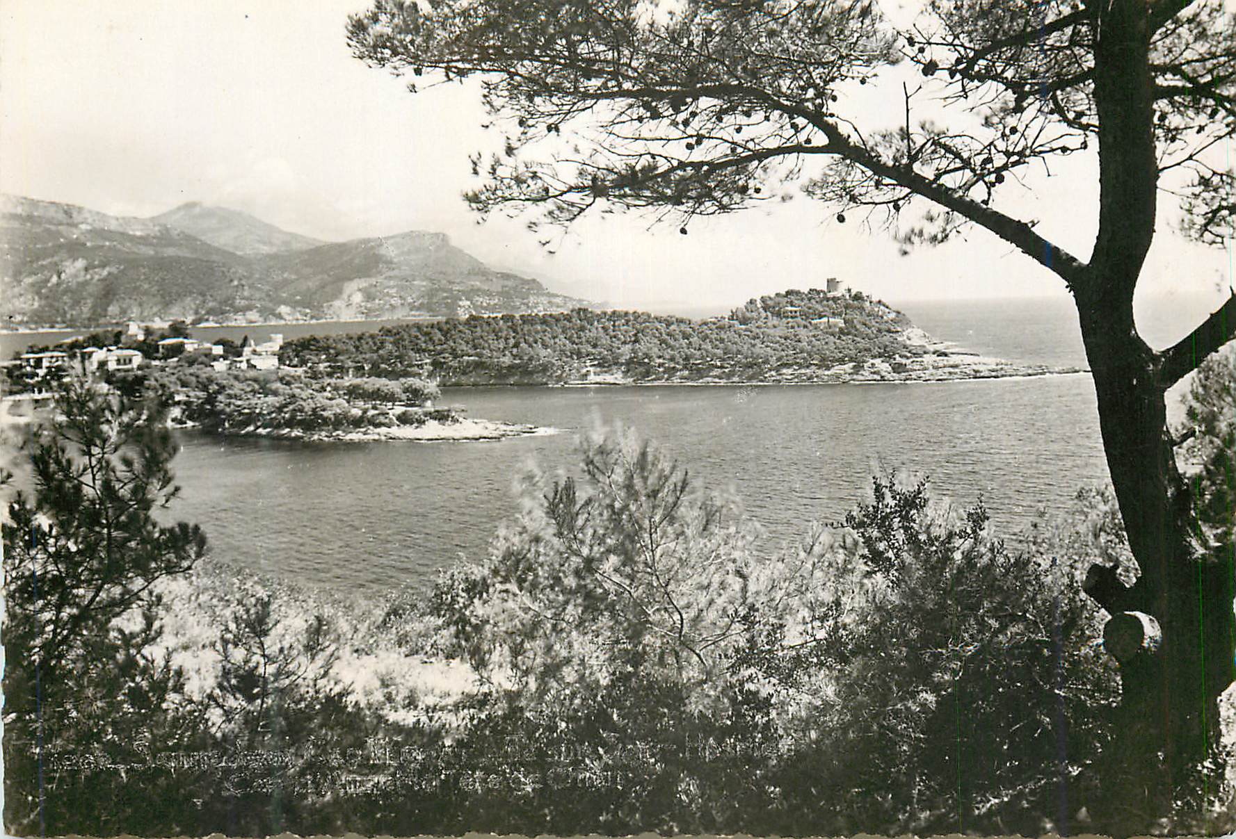 CPM Saint jean cap ferrat vue sur saint hospice cap d ail et la tete de chien