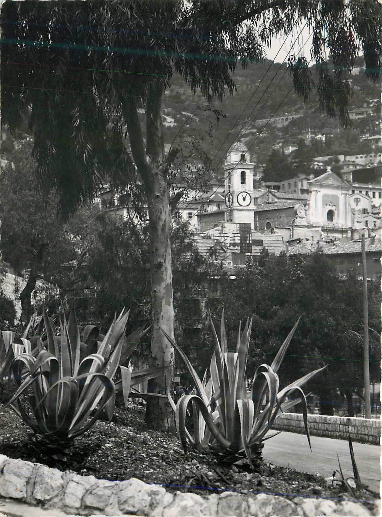 Vue de Monaco — église avec clocher et agaves — sans éditeur ni numéro visible