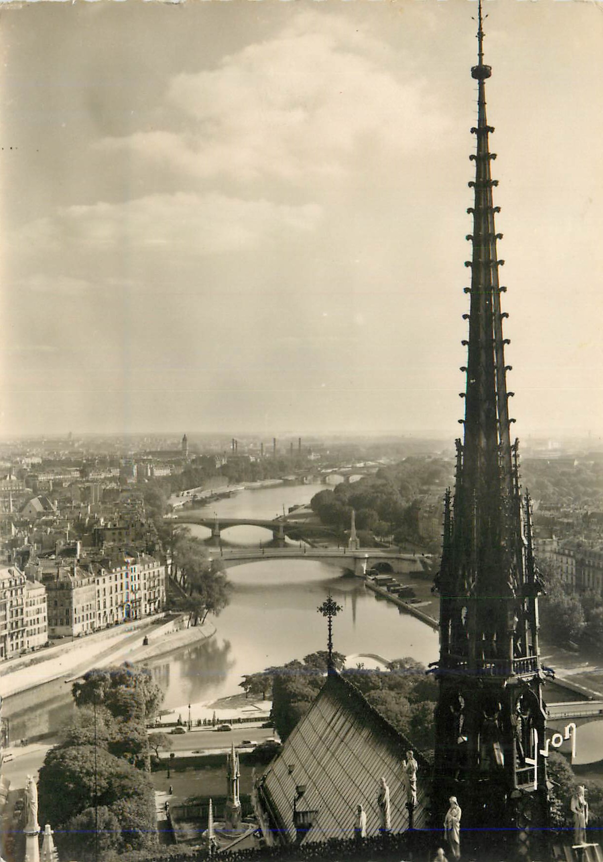 CPM Paris en flanant vue panoramique prise de notre dame