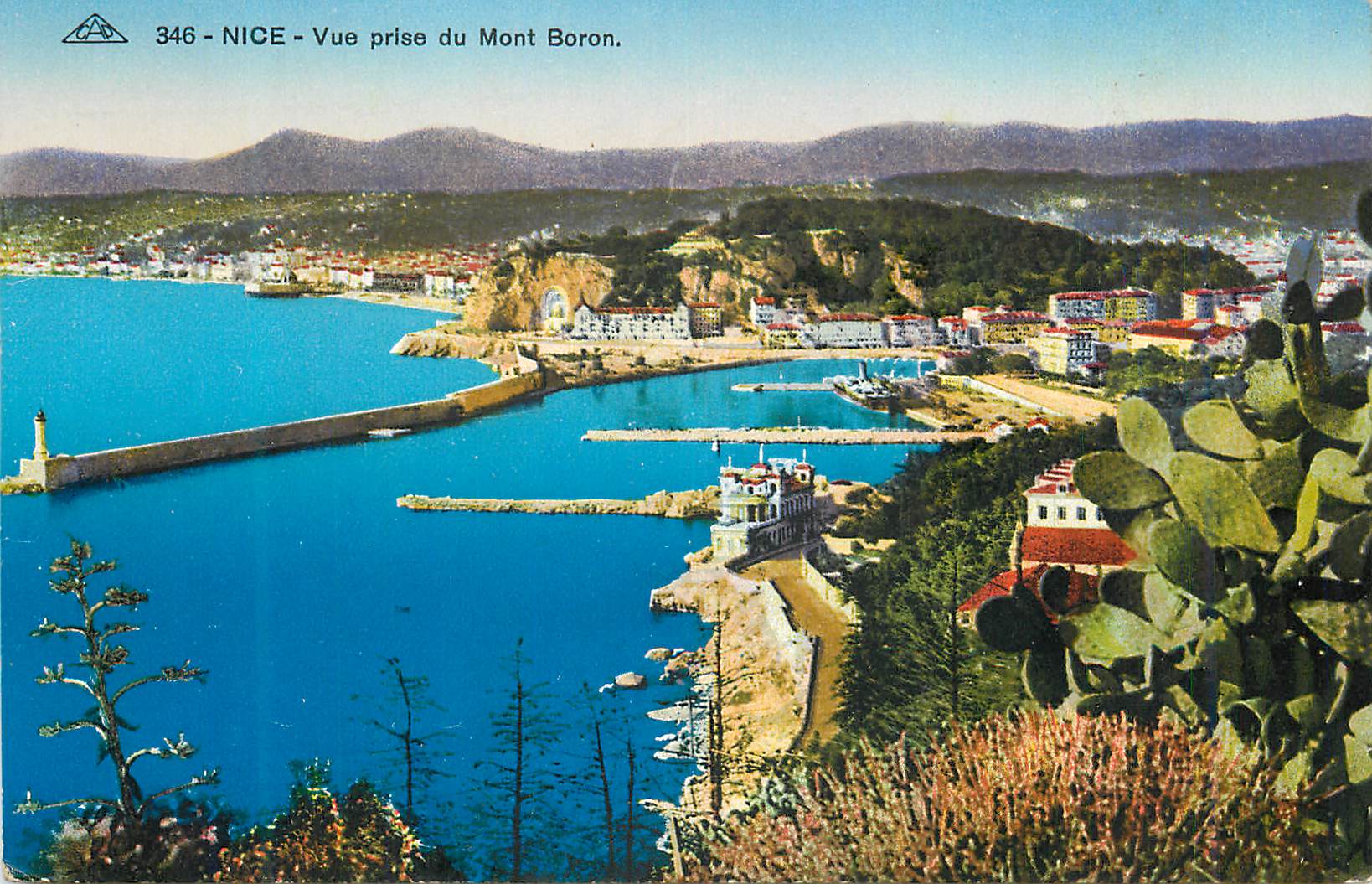 CPA Nice vue prise du mont boron
