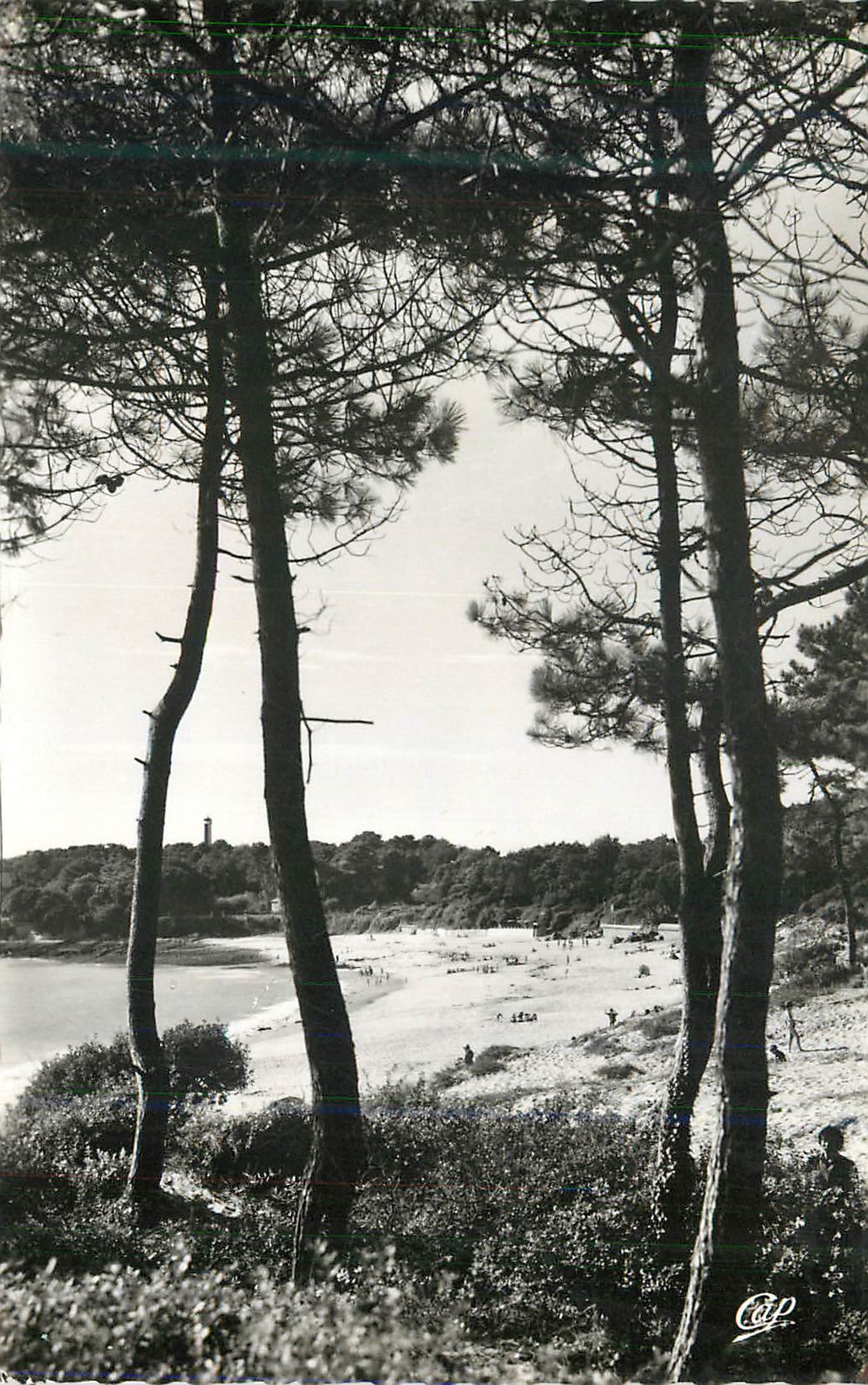Plage de la Pointe du Cap Fréhel — vue depuis les pins — éditeur CAP