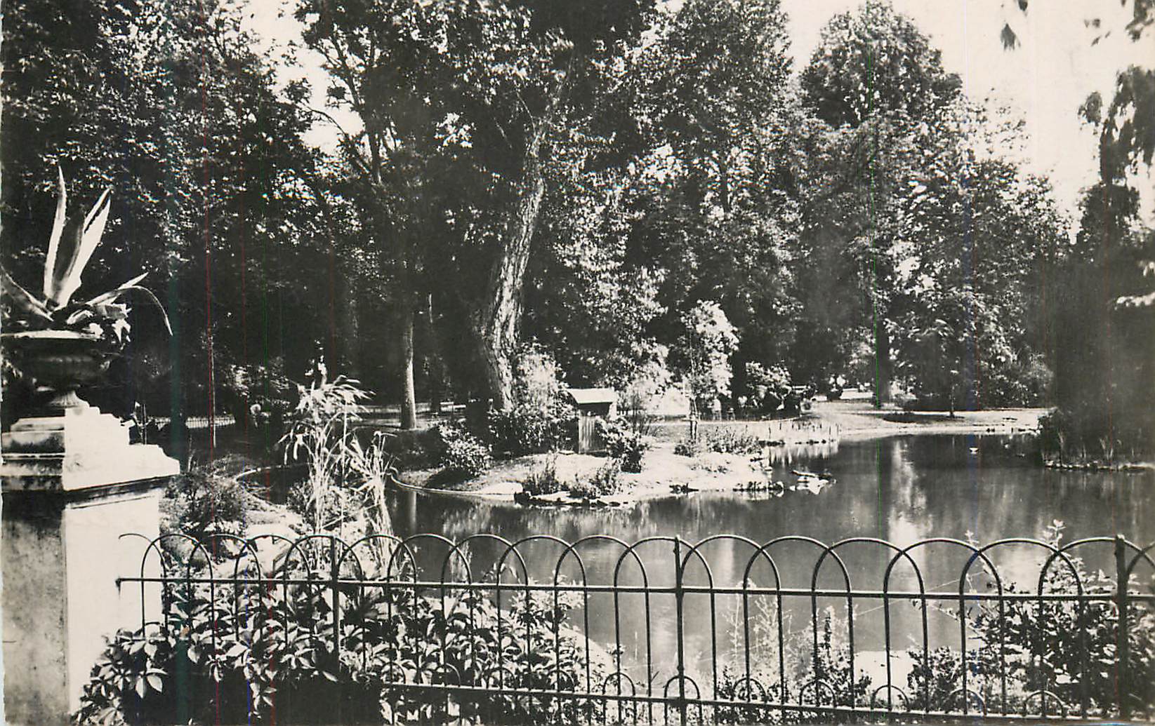 CPM Vichy un coin des nouveaux parcs