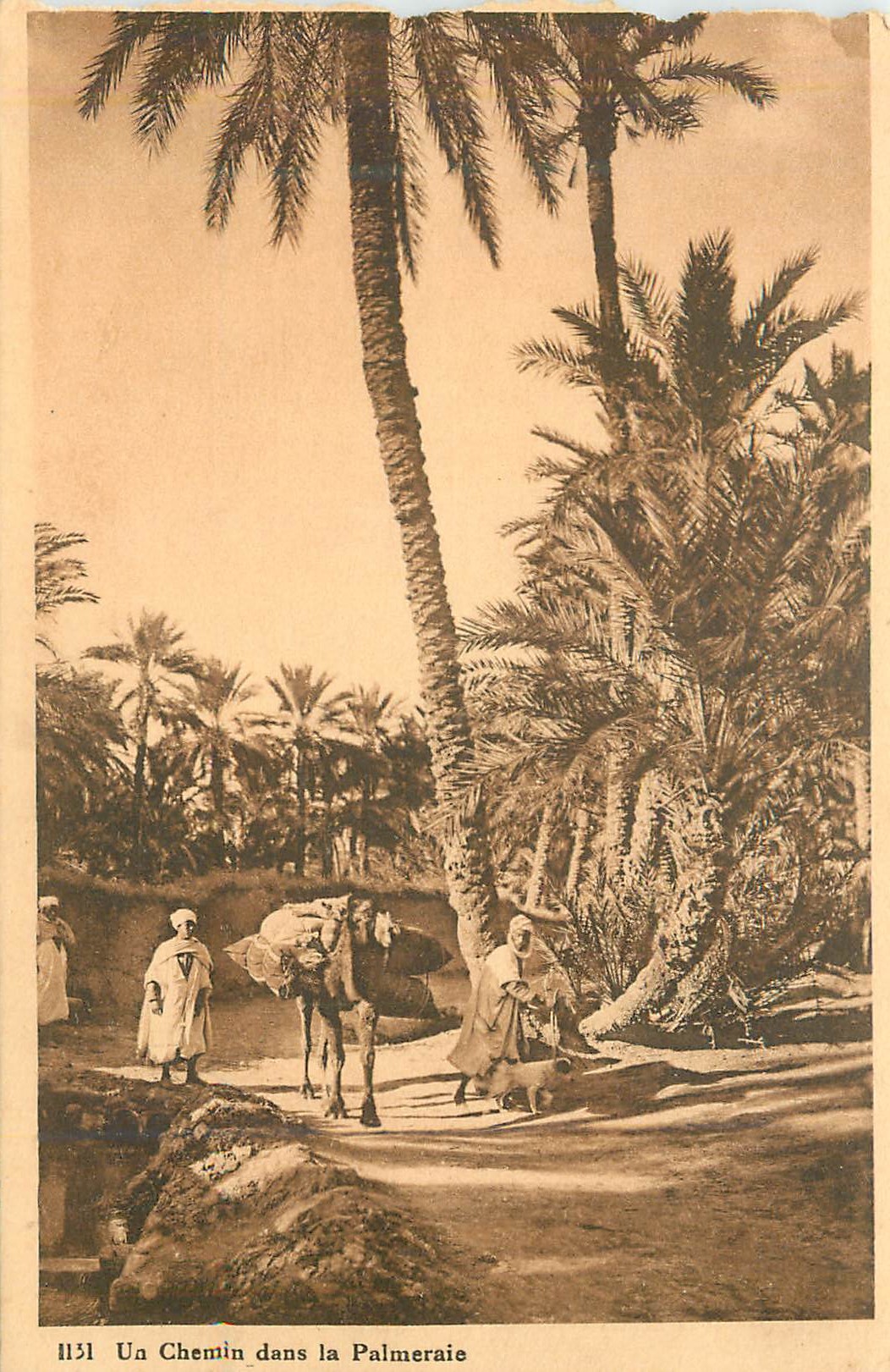 A Path Through the Palm Grove — series 1131 — publisher not visible
