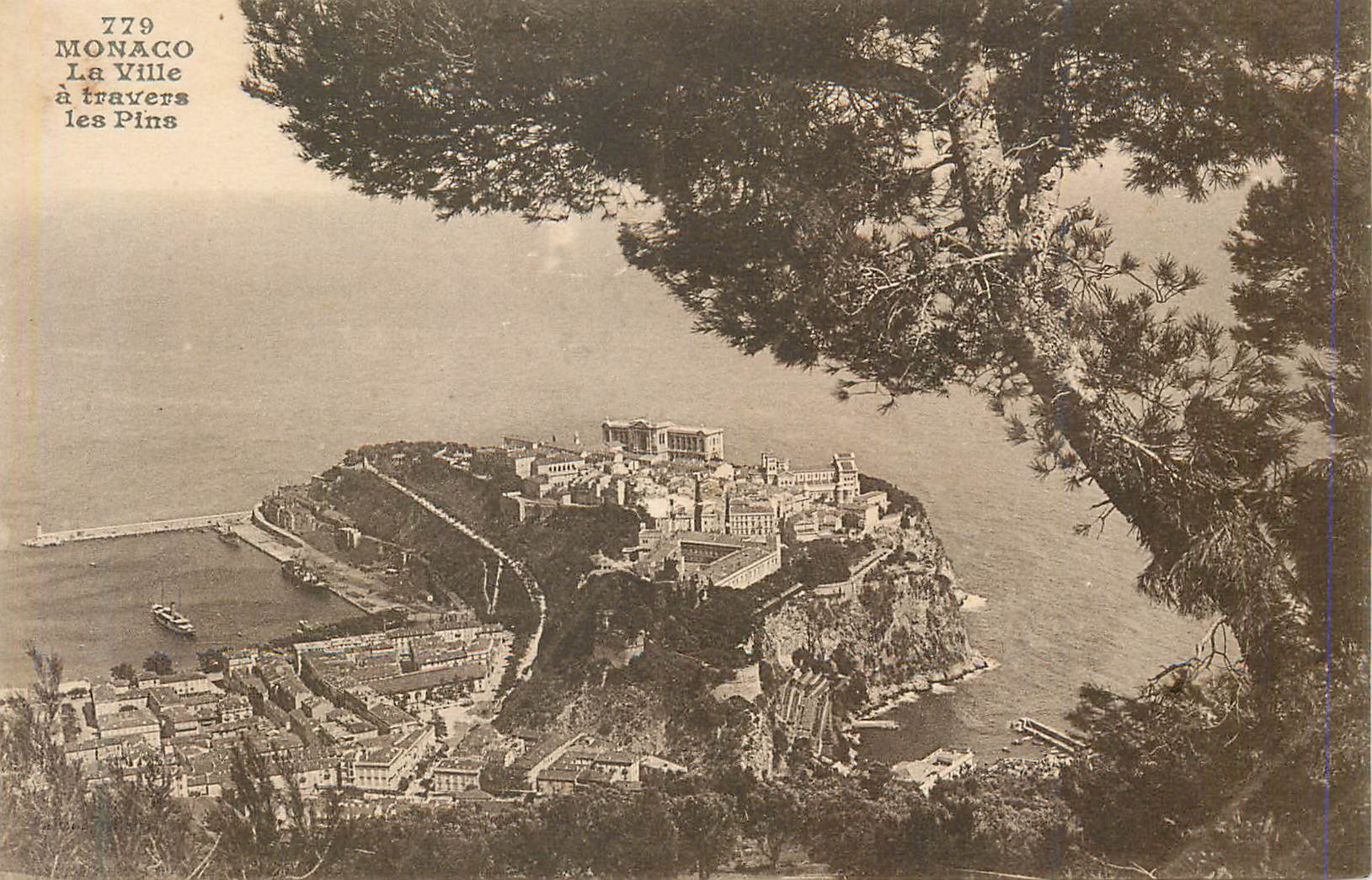 CPA Monaco la ville a travers les pins