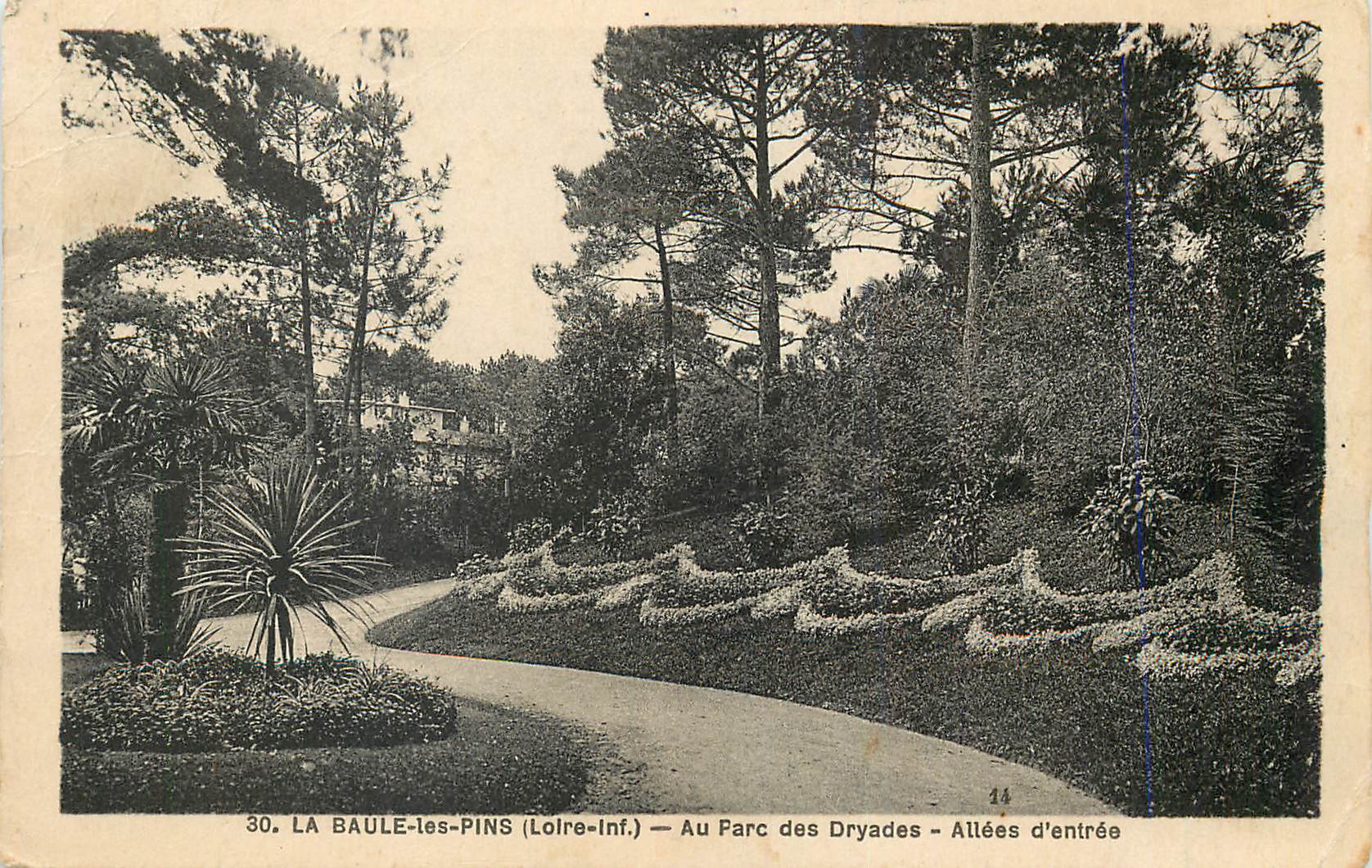CPA La baule les pins (loire inf) au parc des dryades allees d entree