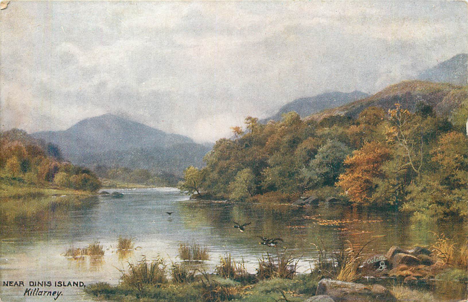 CPA Near dinis island killarney