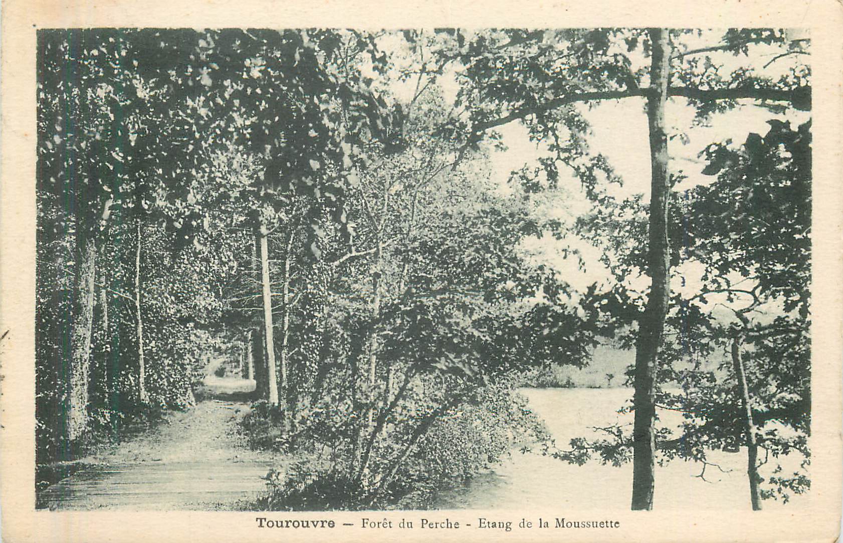 CPA Tourouvre foret du perche etang de la moussette