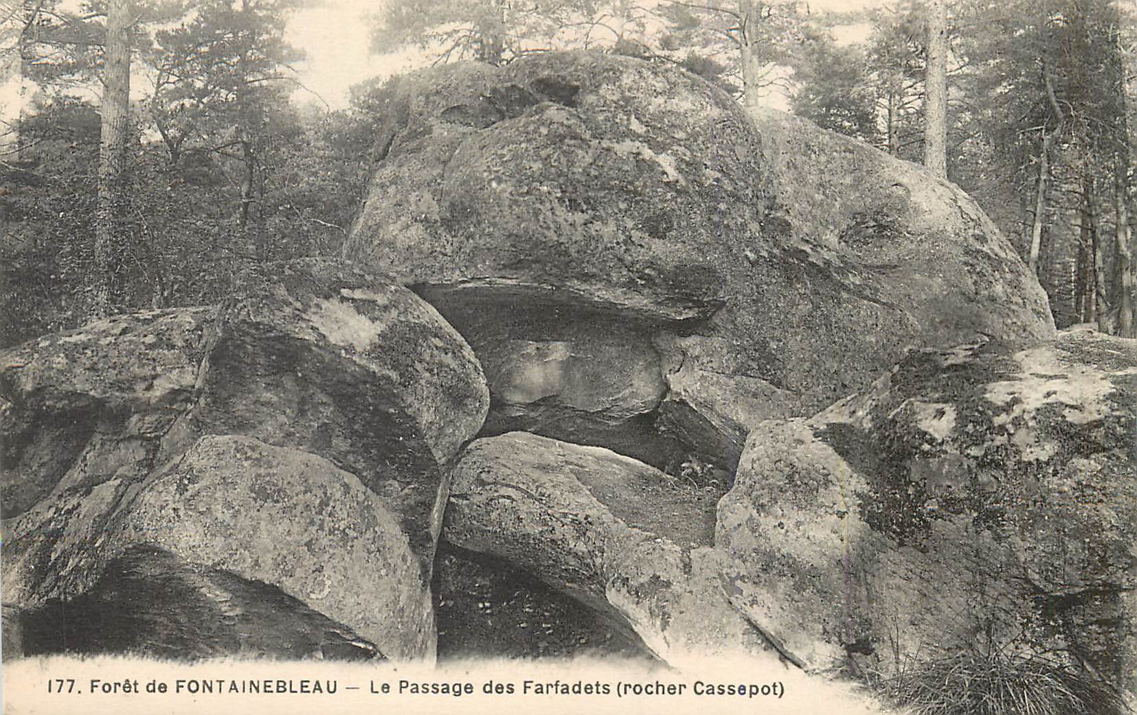 Bosque de FONTAINEBLEAU — El Paso de los Farfadets (roca Cassepot) — n° 177