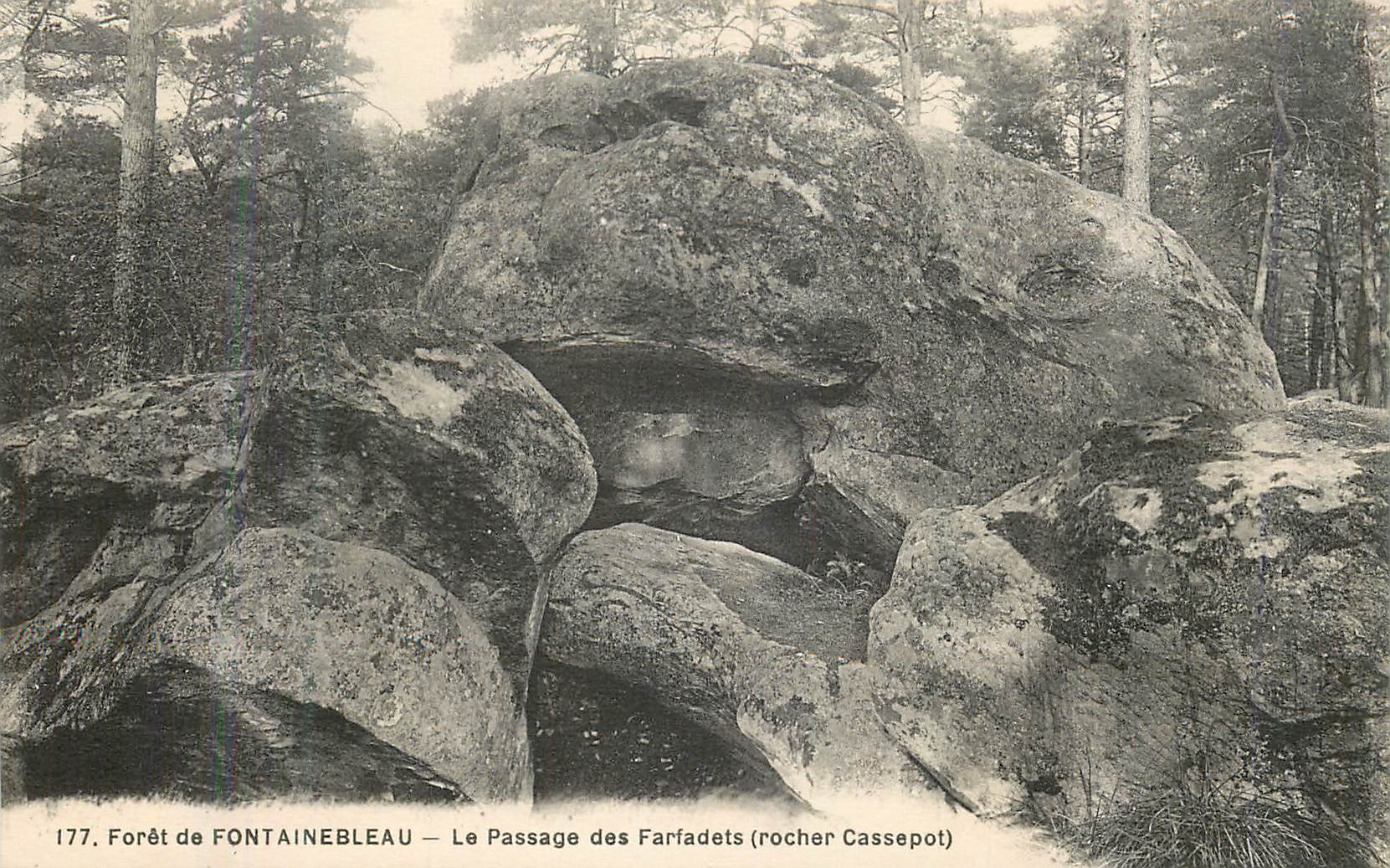 Bosque de FONTAINEBLEAU — El Paso de los Farfadets (roca Cassepot)