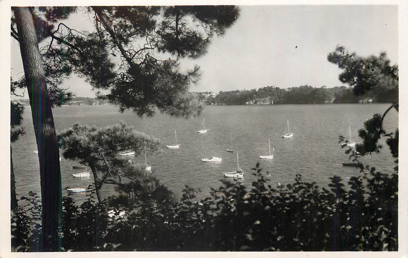 Vue du lac de Sainte-Croix — vue depuis les pins — éditeur non visible