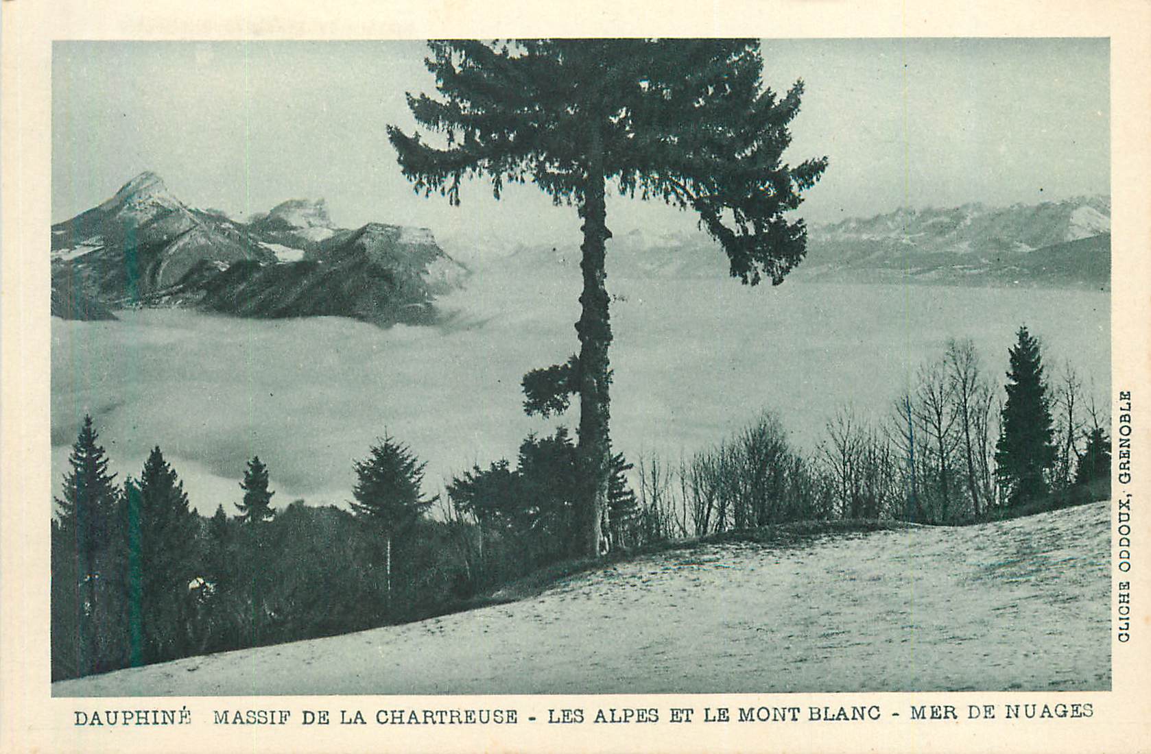 CPA Dauphine massif de la chartreuse les alpes et le mont blanc mer de nuages