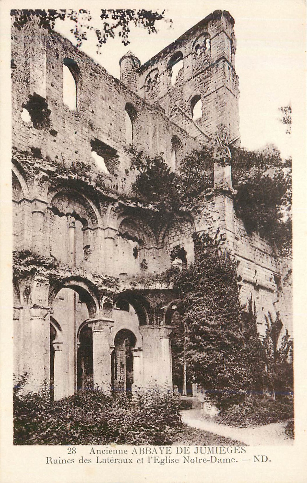 CPA Ancienne abbaye de jumieges ruines des lateraux et l eglise notre dame
