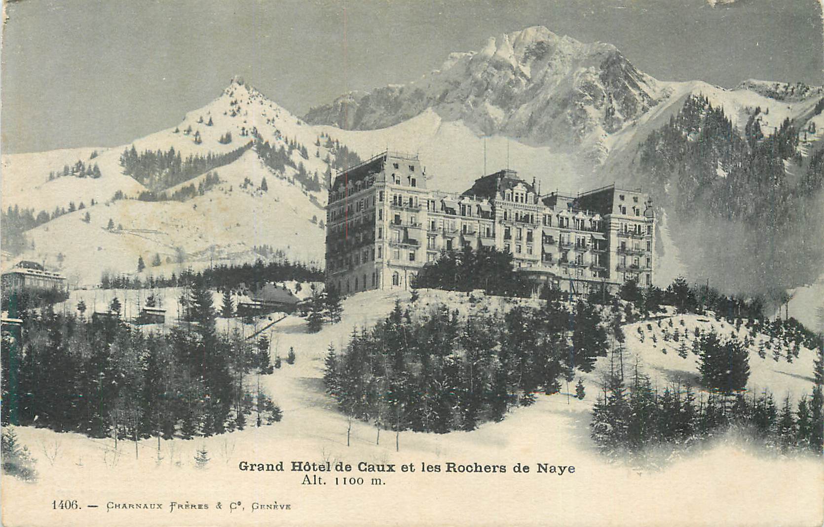 CPA Grand hotel de caux et les rochers de naye