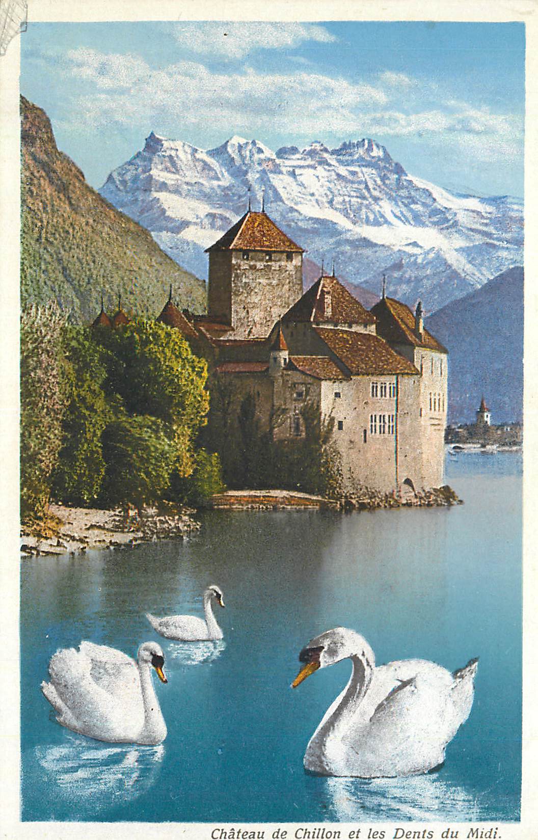 CPA Chateau de sillon et les dents du midi Cygnes