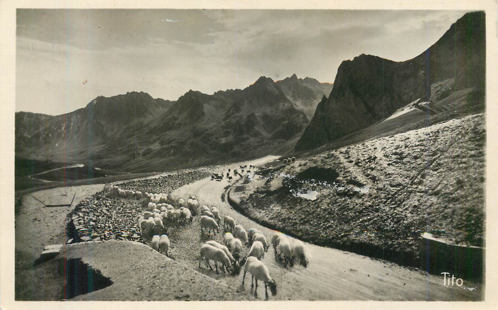 CPM Les Pyrenees Le Col du Tourmalet Descente sur Bagneres de Bigorre Moutons