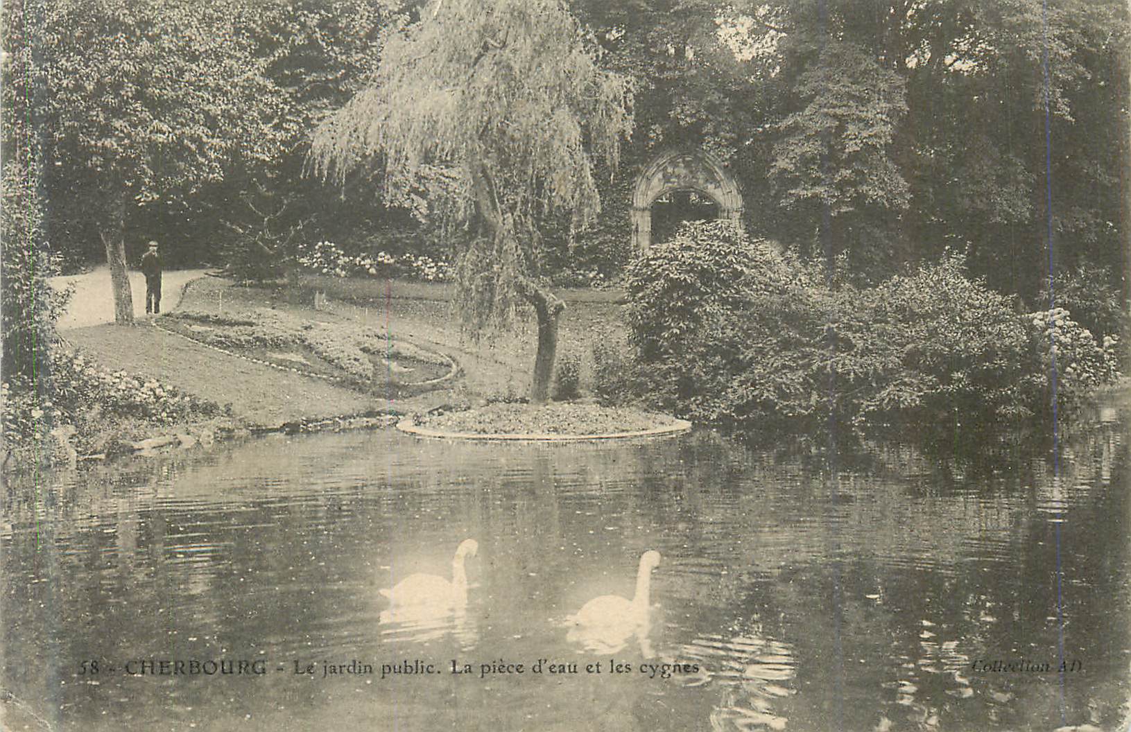 CPA Cherbourg Le Jardin public Le piece d eau et les cygnes