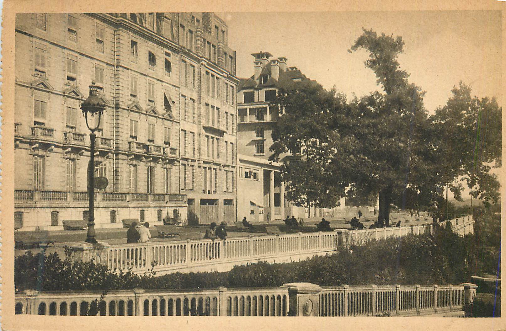 CPA Pau Le Boulevard des Pyrenees et le Chene de Sully