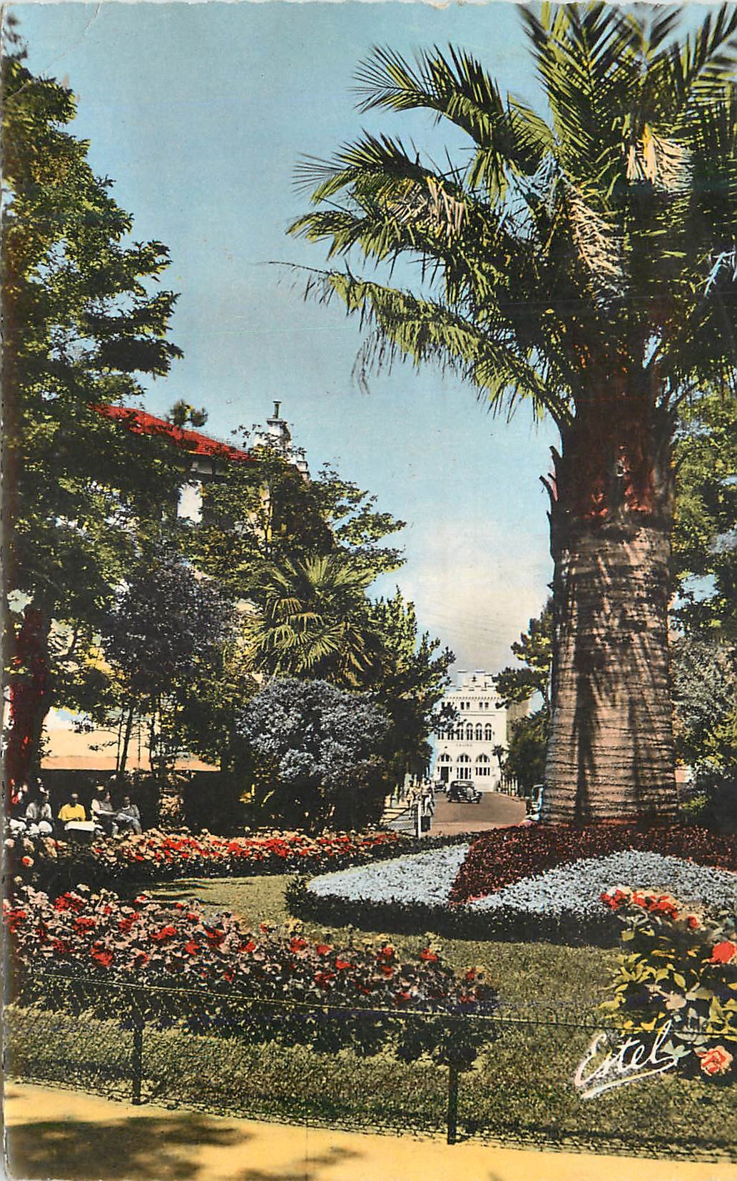 Jardin botanique — vue du parc avec palmier et bâtiment — Étel