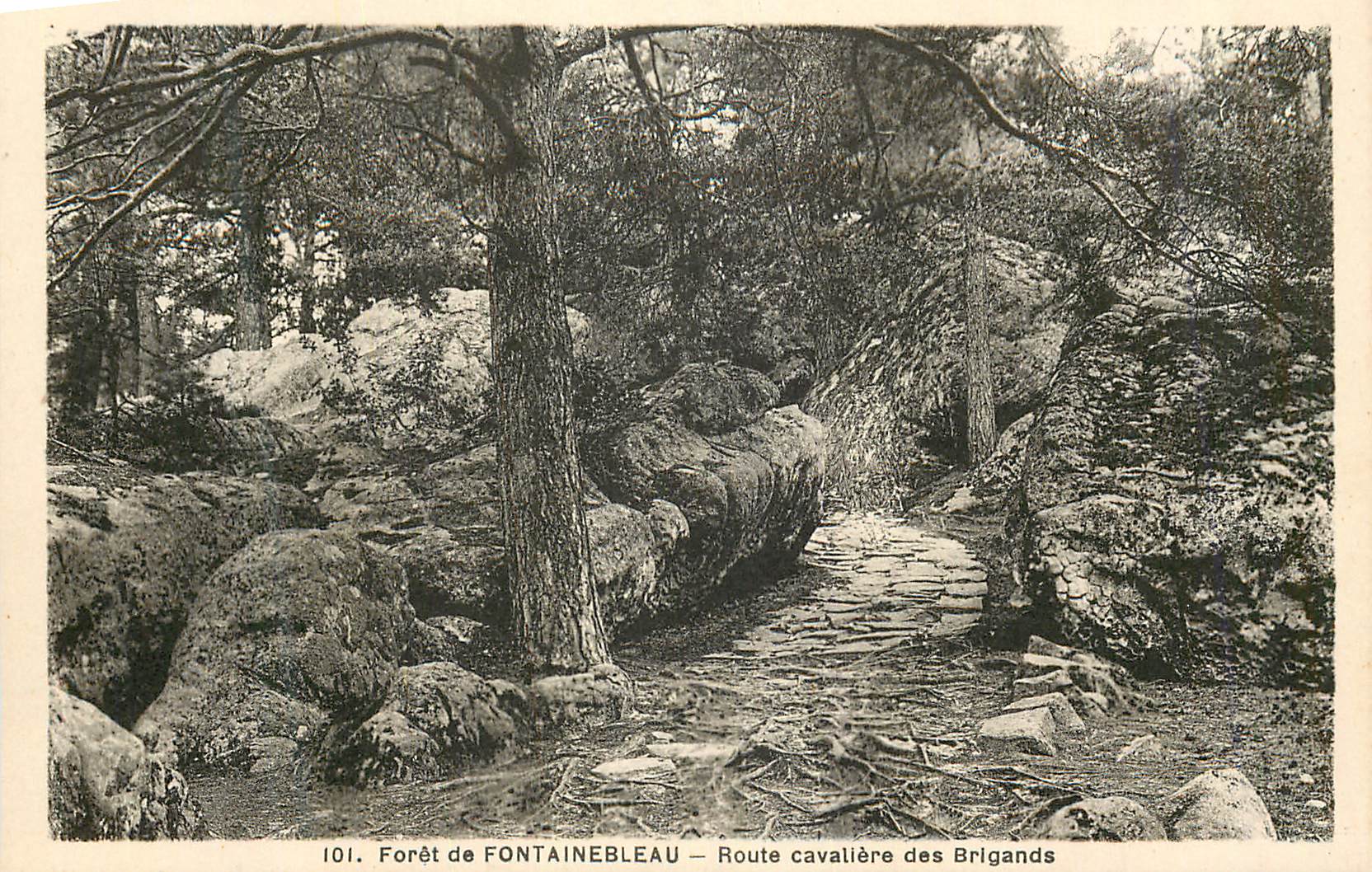 Bosque de FONTAINEBLEAU — Camino caballeresco de los Bandidos — n°101