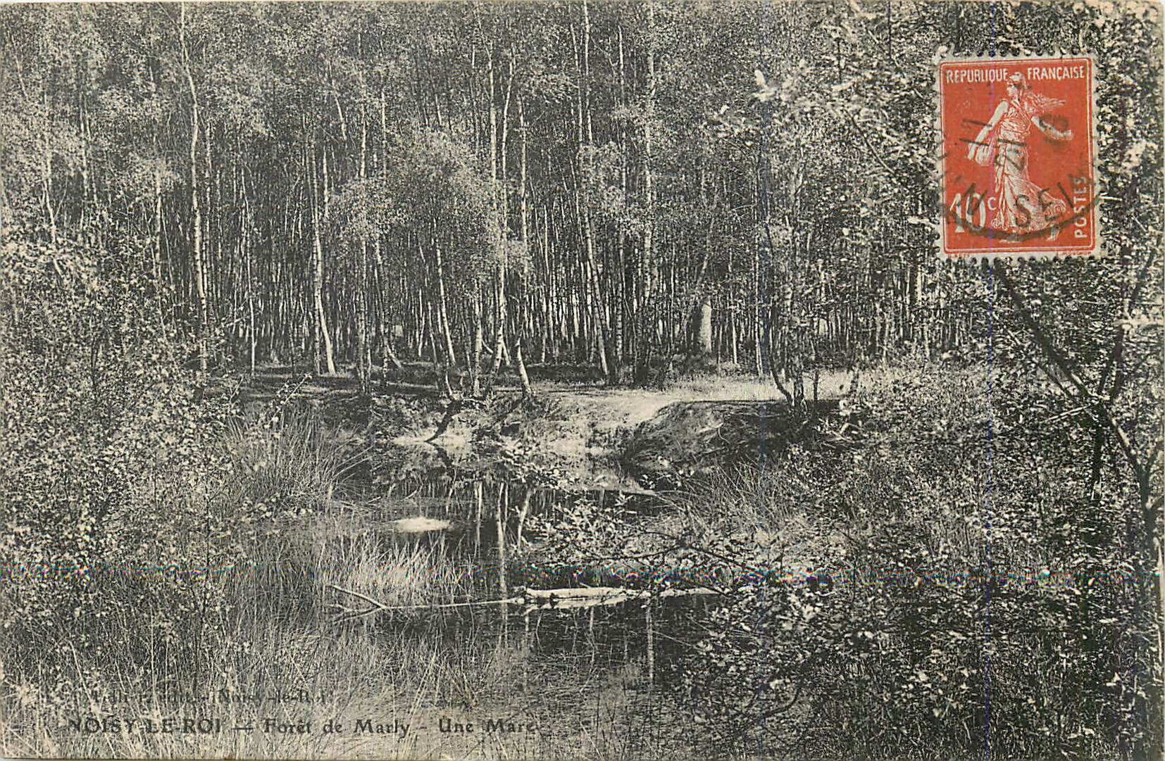 Noisy-le-Roi — Forêt de Maëly — Une Mare